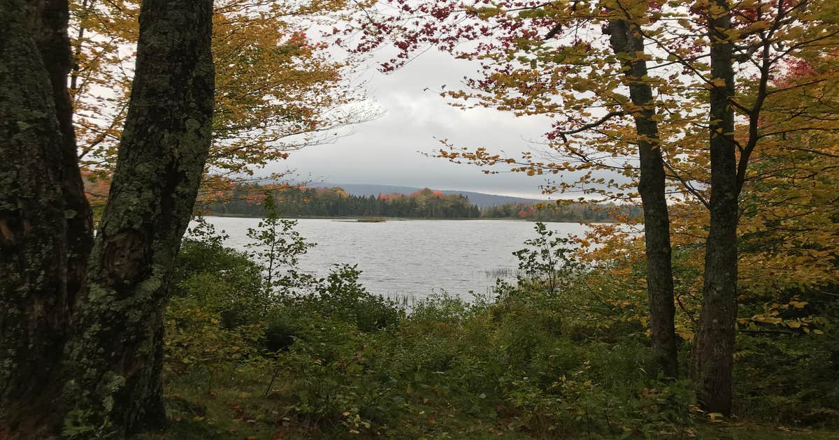 Cedar River Entrance Camping Speculator, NY