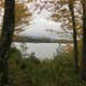 Cedar River Entrance Camping