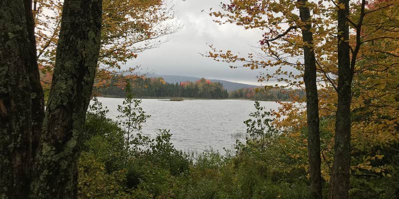 Camper submitted image from Cedar River Entrance Camping