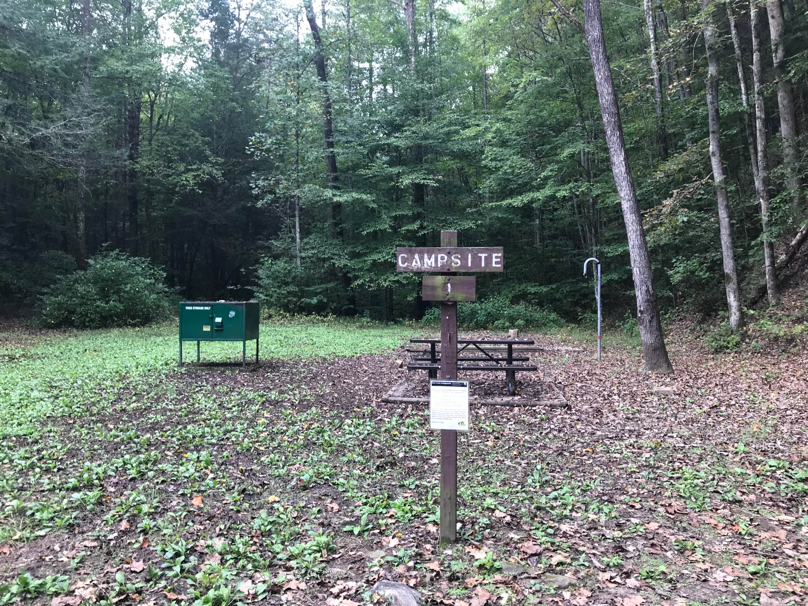 Rock Creek Campground (tn) Camping The Dyrt