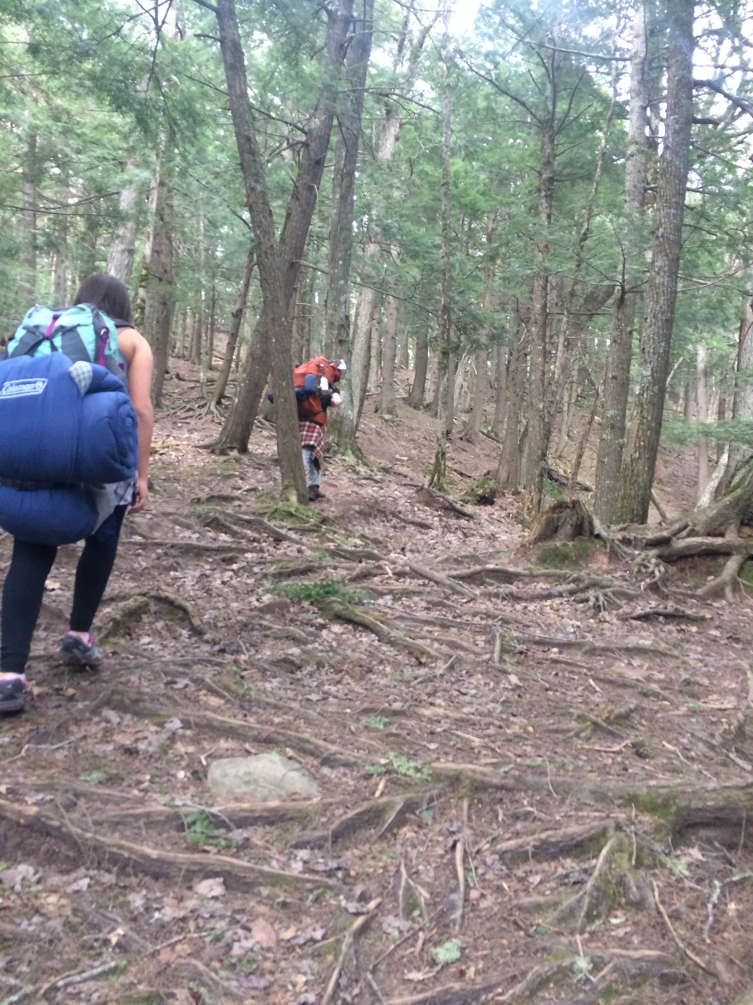 Camper submitted image from Porcupine Mountains Backcountry Camping — Porcupine Mountains Wilderness State Park - 5