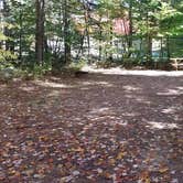 Review photo of Ammonoosuc Campground by Jean C., October 10, 2018