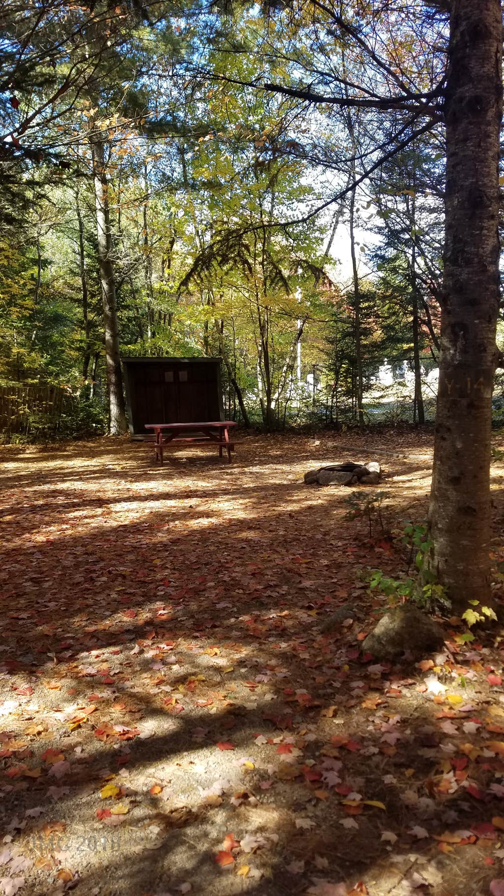 Camper submitted image from Ammonoosuc Campground - 2