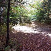 Review photo of Ammonoosuc Campground by Jean C., October 10, 2018