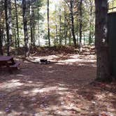 Review photo of Ammonoosuc Campground by Jean C., October 10, 2018