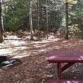 Review photo of Ammonoosuc Campground by Jean C., October 10, 2018