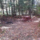 Review photo of Ammonoosuc Campground by Jean C., October 10, 2018