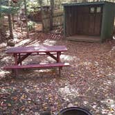 Review photo of Ammonoosuc Campground by Jean C., October 10, 2018