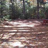 Review photo of Ammonoosuc Campground by Jean C., October 10, 2018