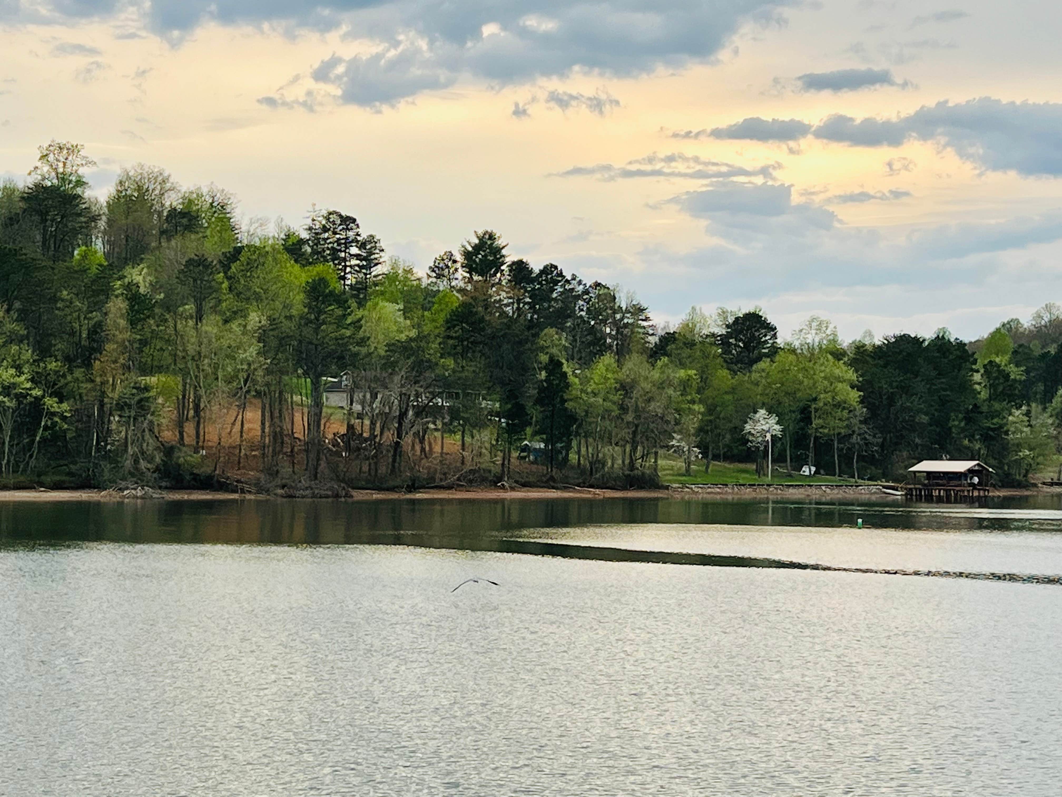 Camper-submitted photo at Rockwood Marina & RV Resort near Kingston, TN