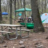 Review photo of French Creek State Park Campground by Lindsay , May 10, 2023