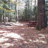 Review photo of Ammonoosuc Campground by Jean C., October 10, 2018