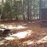 Review photo of Ammonoosuc Campground by Jean C., October 10, 2018