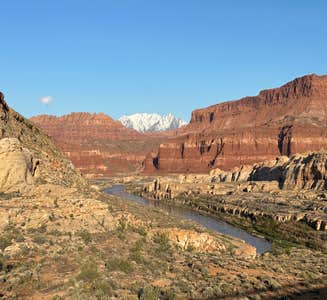 Camper-submitted photo from Colorado River Hite Bridge