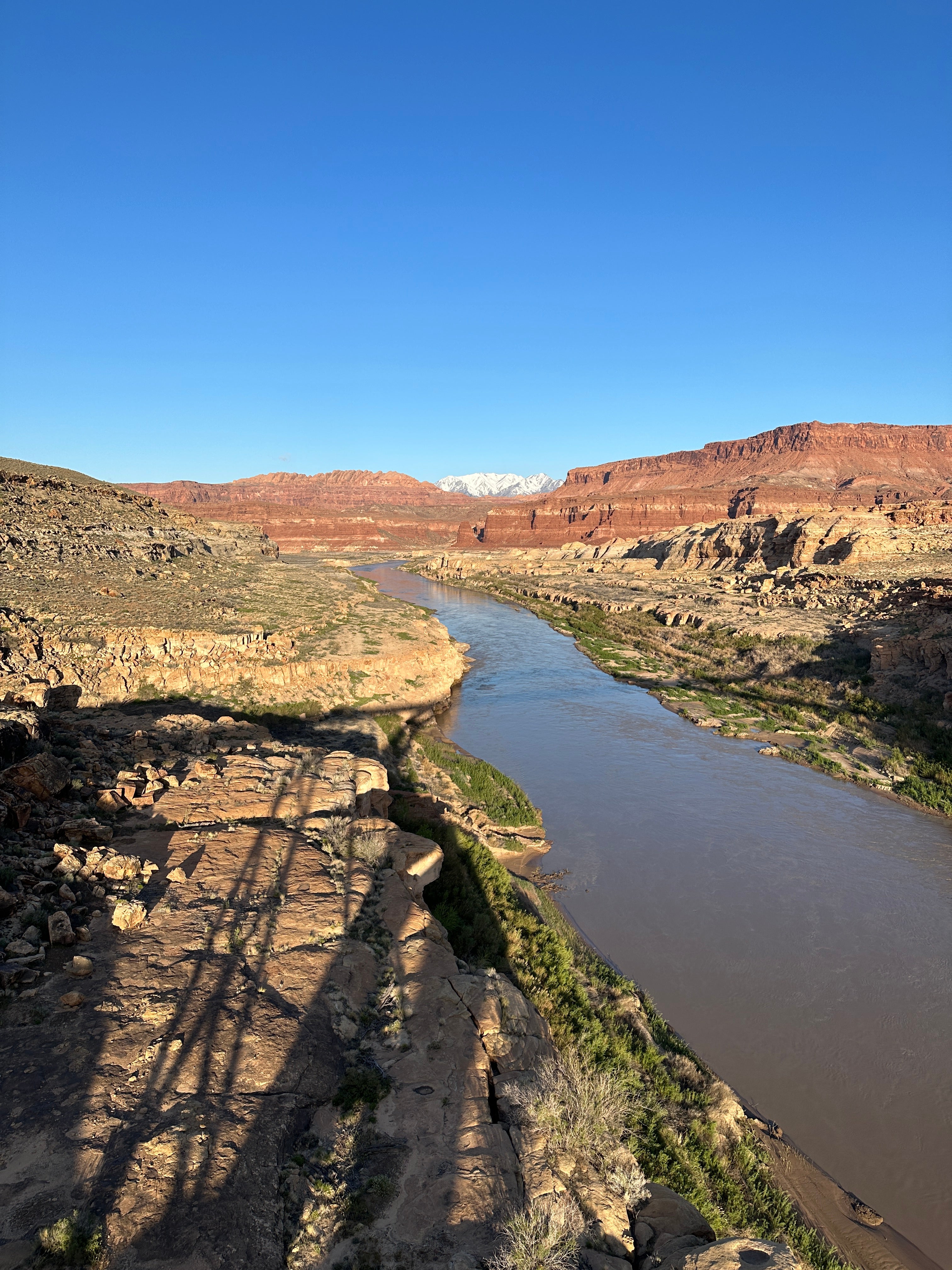 Camper submitted image from Colorado River Hite Bridge - 5