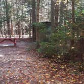 Review photo of Ammonoosuc Campground by Jean C., October 10, 2018