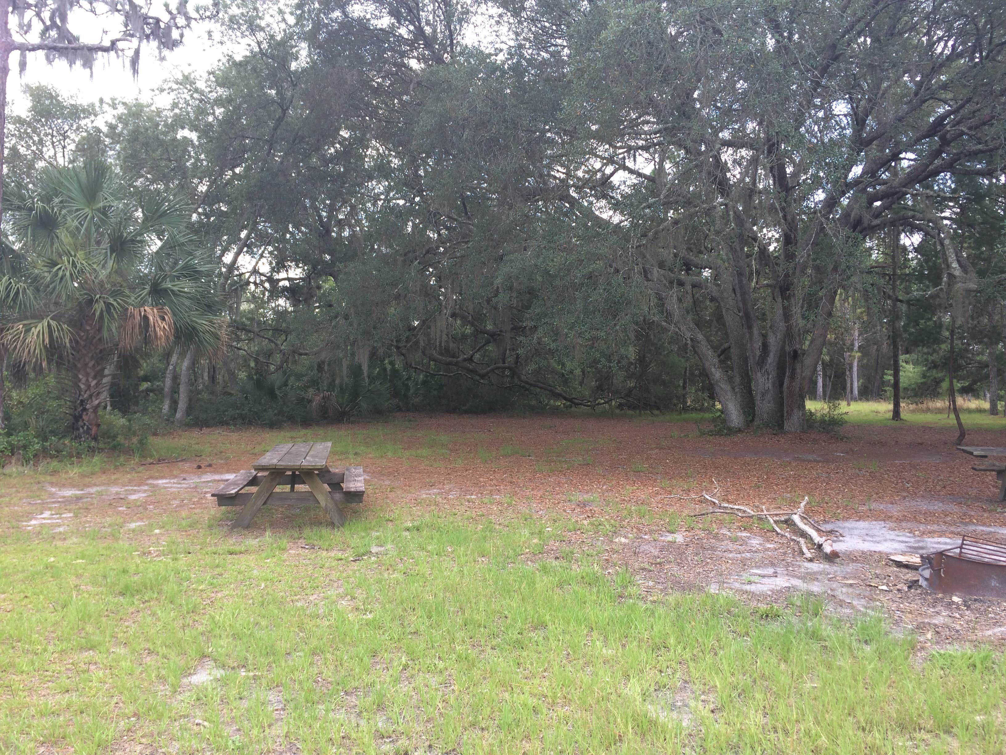 Camper-submitted photo at Seminole State Forest Primitive Campsites near Orange City, FL