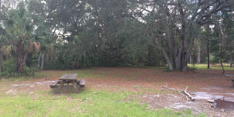 Camper submitted image from Seminole State Forest Primitive Campsites