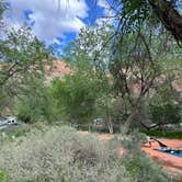 Review photo of Watchman Campground — Zion National Park by Christian D., May 10, 2023