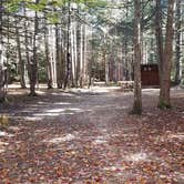 Review photo of Ammonoosuc Campground by Jean C., October 10, 2018