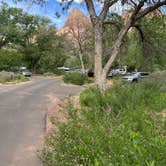 Review photo of Watchman Campground — Zion National Park by Christian D., May 10, 2023