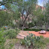 Review photo of Watchman Campground — Zion National Park by Christian D., May 10, 2023