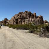 Review photo of Indian Cove Campground — Joshua Tree National Park by Christian D., May 10, 2023