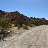 Review photo of Indian Cove Campground — Joshua Tree National Park by Christian D., May 10, 2023