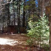 Review photo of Ammonoosuc Campground by Jean C., October 10, 2018