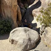 Review photo of Indian Cove Campground — Joshua Tree National Park by Christian D., May 10, 2023