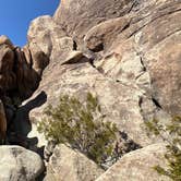 Review photo of Indian Cove Campground — Joshua Tree National Park by Christian D., May 10, 2023