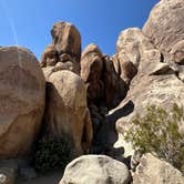 Review photo of Indian Cove Campground — Joshua Tree National Park by Christian D., May 10, 2023