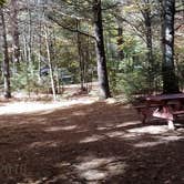 Review photo of Ammonoosuc Campground by Jean C., October 10, 2018