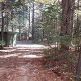 Review photo of Ammonoosuc Campground by Jean C., October 10, 2018