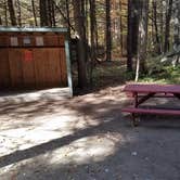 Review photo of Ammonoosuc Campground by Jean C., October 10, 2018