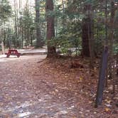 Review photo of Ammonoosuc Campground by Jean C., October 10, 2018