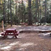 Review photo of Ammonoosuc Campground by Jean C., October 10, 2018