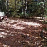 Review photo of Ammonoosuc Campground by Jean C., October 10, 2018