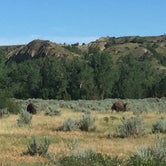 Review photo of Cottonwood Campground — Theodore Roosevelt National Park by Stephanie Z., August 18, 2016