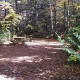 Review photo of Ammonoosuc Campground by Jean C., October 10, 2018