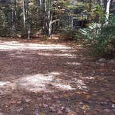 Review photo of Ammonoosuc Campground by Jean C., October 10, 2018