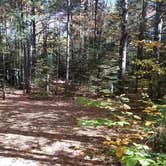 Review photo of Ammonoosuc Campground by Jean C., October 10, 2018