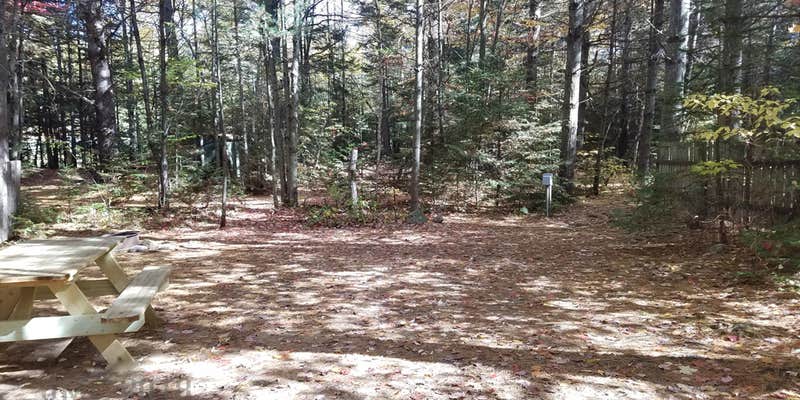 Camper submitted image from Ammonoosuc Campground