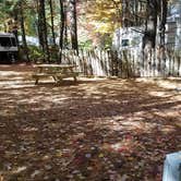 Review photo of Ammonoosuc Campground by Jean C., October 10, 2018