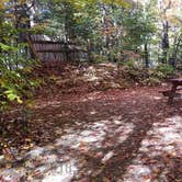 Review photo of Ammonoosuc Campground by Jean C., October 10, 2018