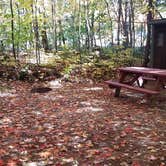 Review photo of Ammonoosuc Campground by Jean C., October 10, 2018