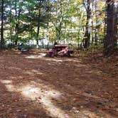 Review photo of Ammonoosuc Campground by Jean C., October 10, 2018