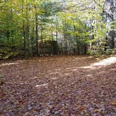 Review photo of Ammonoosuc Campground by Jean C., October 10, 2018