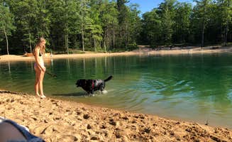 Diana's photo of camping with pets at Oxbow Park Big Prairie Township near Greenville, MI
