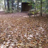 Review photo of Ammonoosuc Campground by Jean C., October 10, 2018